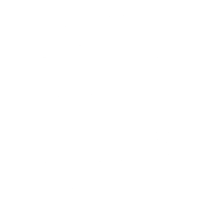 Angular Lion Head Logo #ffffff