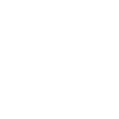 Hand-Drawn Chicken Logo #ffffff