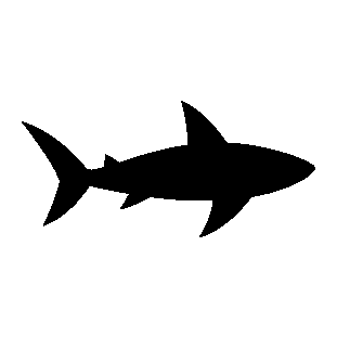 Shark Silhouette Logo