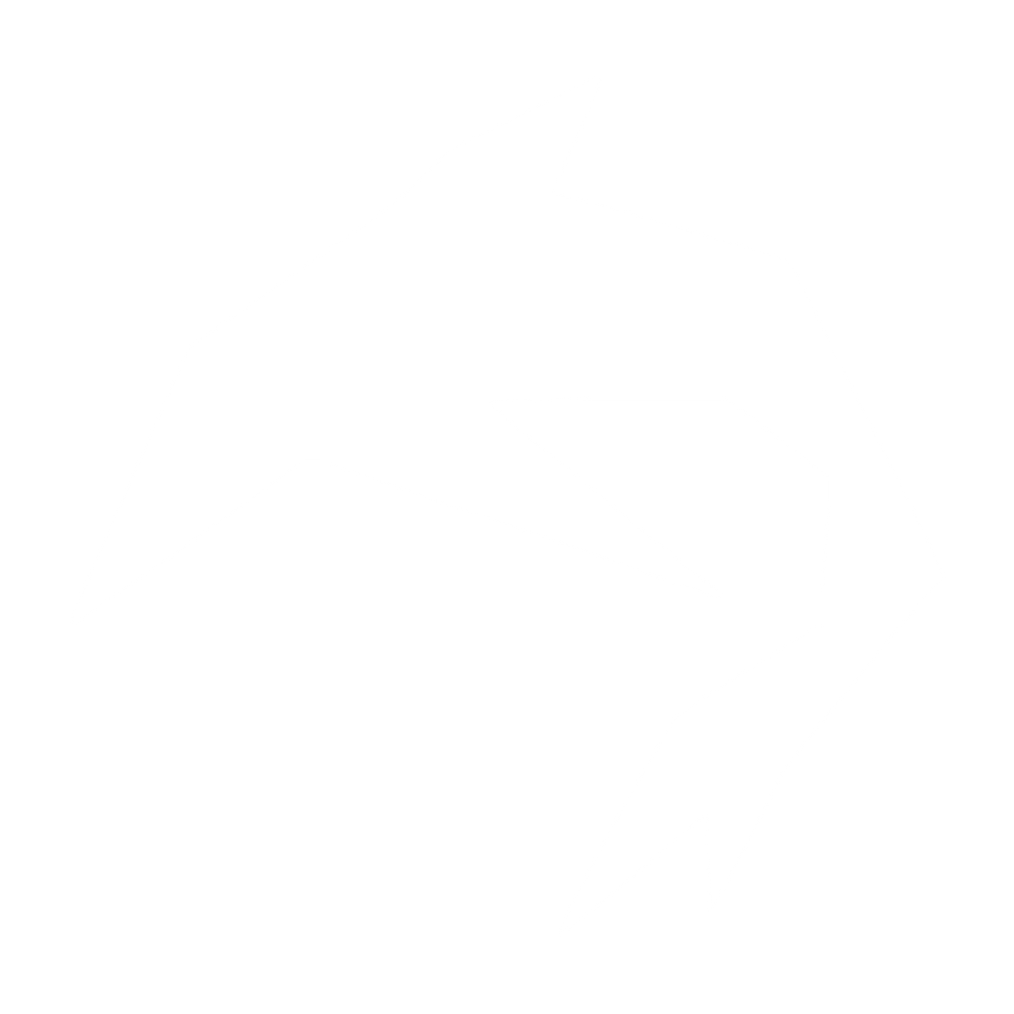 Angular Dolphin Logo #ffffff