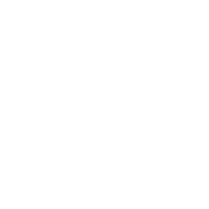Angular Dolphin Logo #ffffff