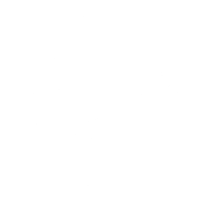 Geometric Dolphin Logo #ffffff