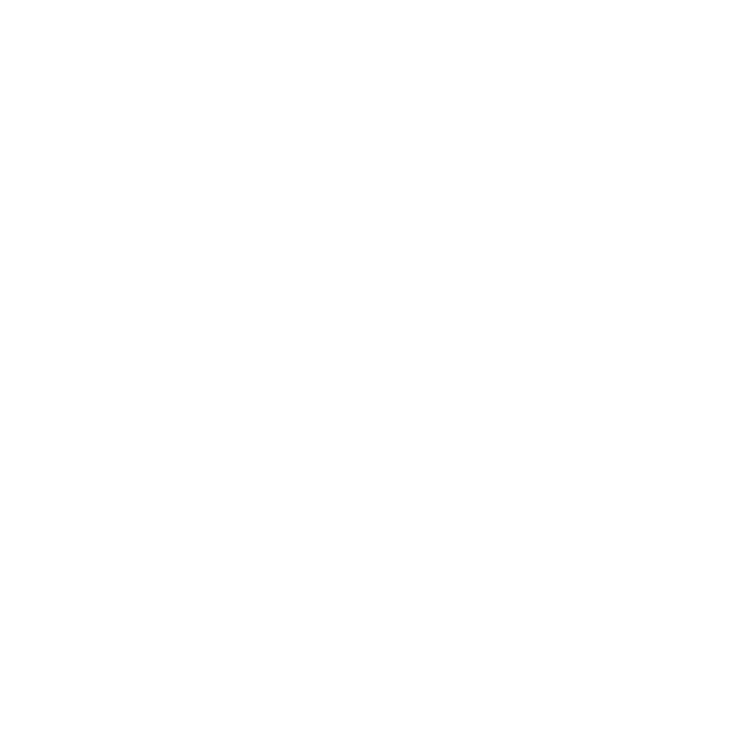 Leaping Dolphin Silhouette Logo #ffffff