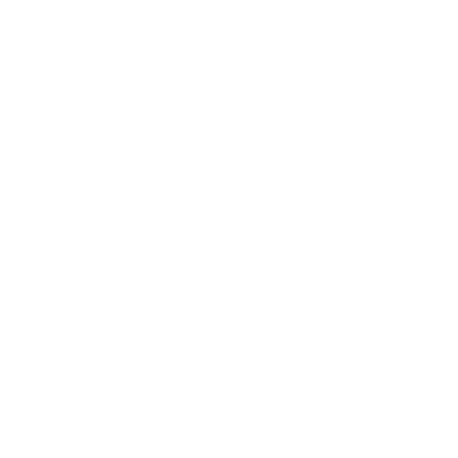 Leaping Dolphin Silhouette Logo #ffffff