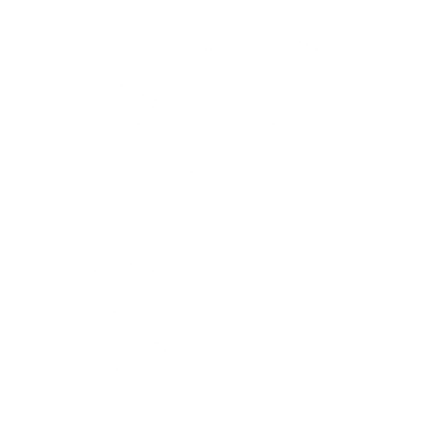 Geometric Dolphin Logo #ffffff