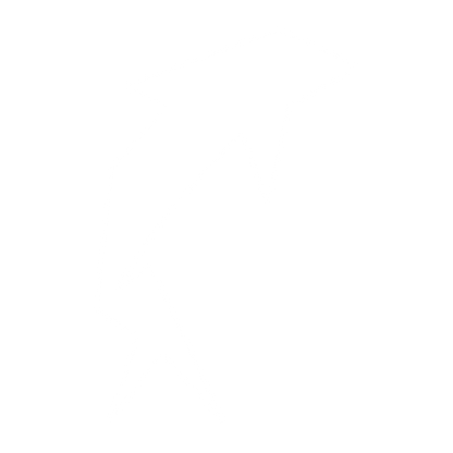Geometric Dolphin Logo #ffffff