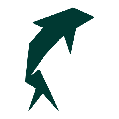 Geometric Dolphin Logo #003932