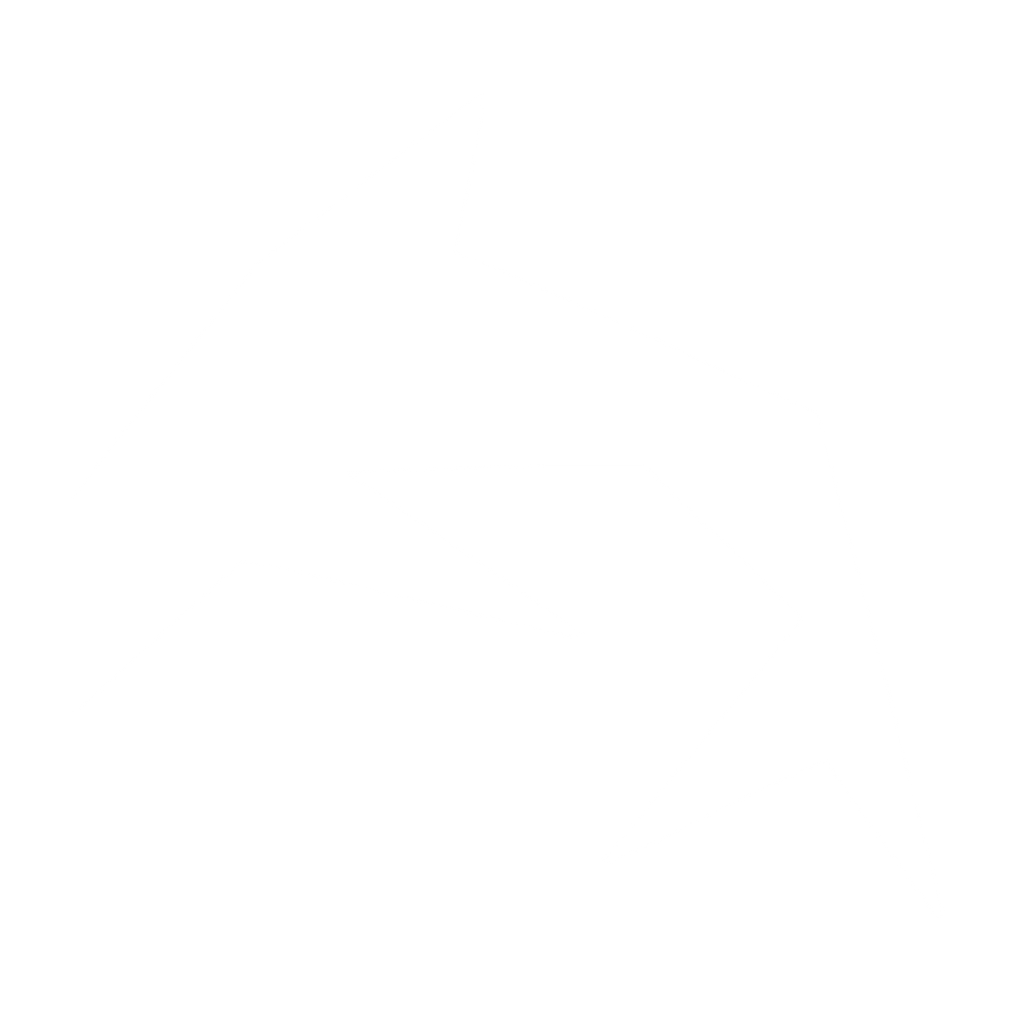 Angular Dolphin Logo #ffffff