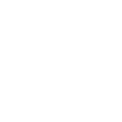 Angular Dolphin Logo #ffffff