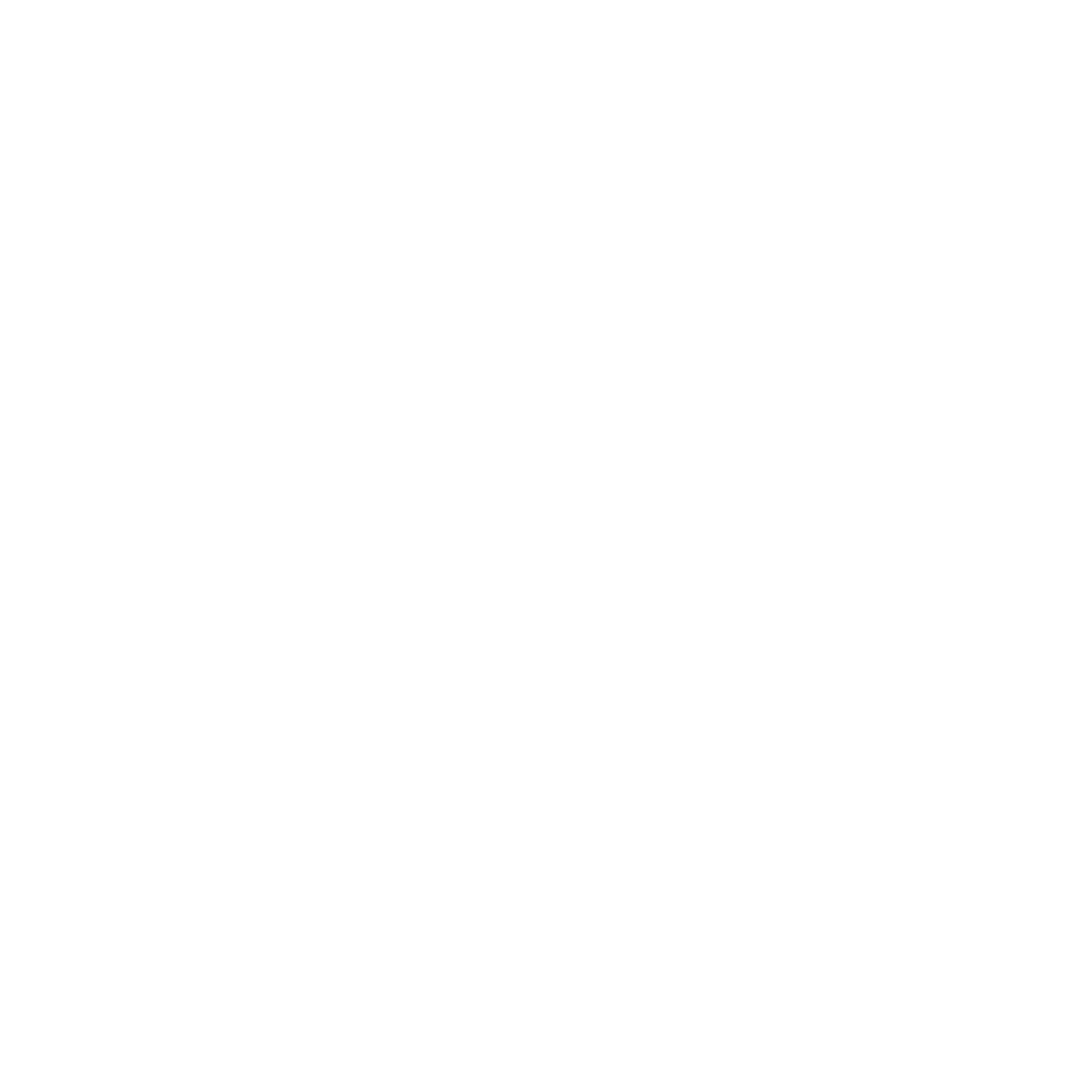 Bold Briefcase Logo #ffffff