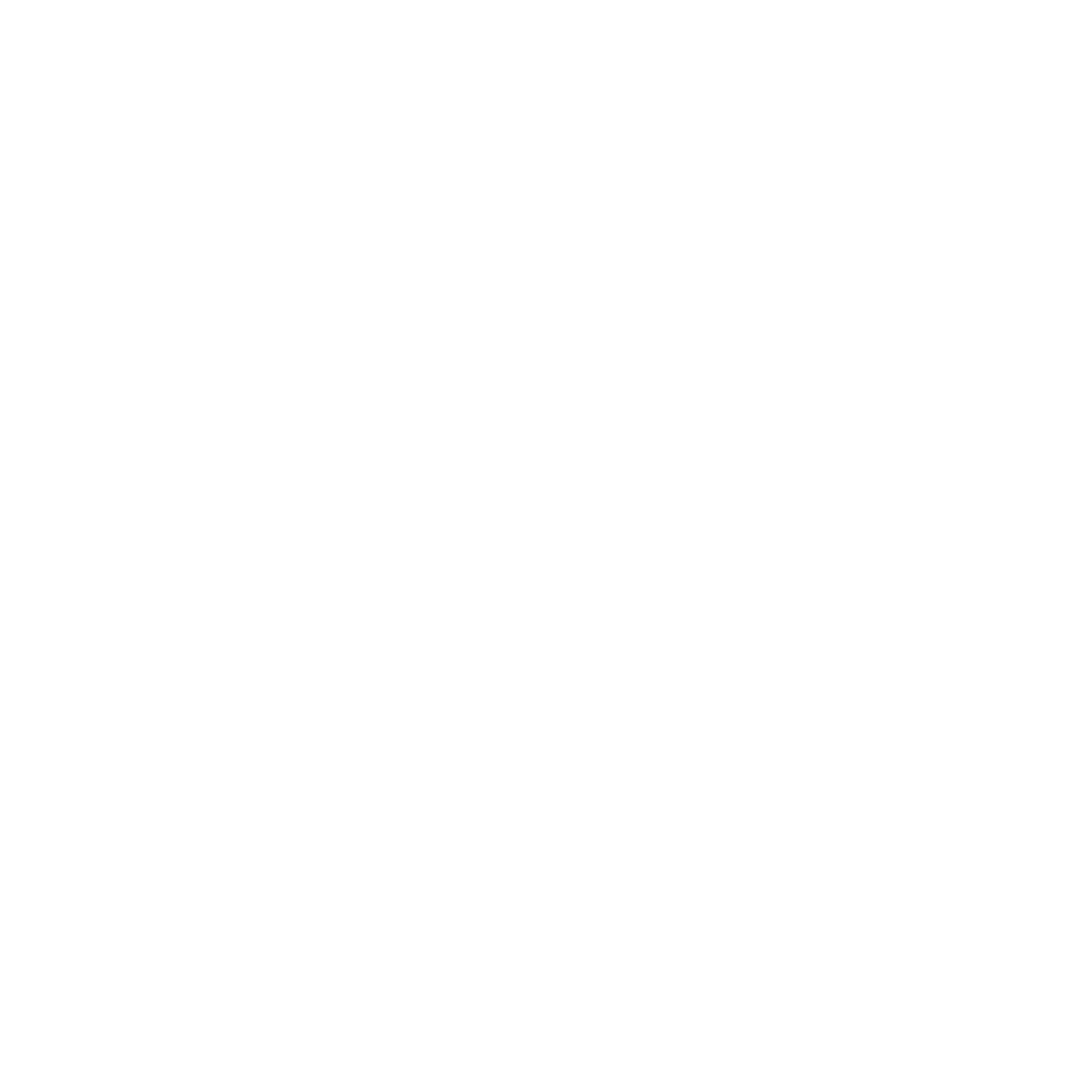 Bold Briefcase Logo #ffffff