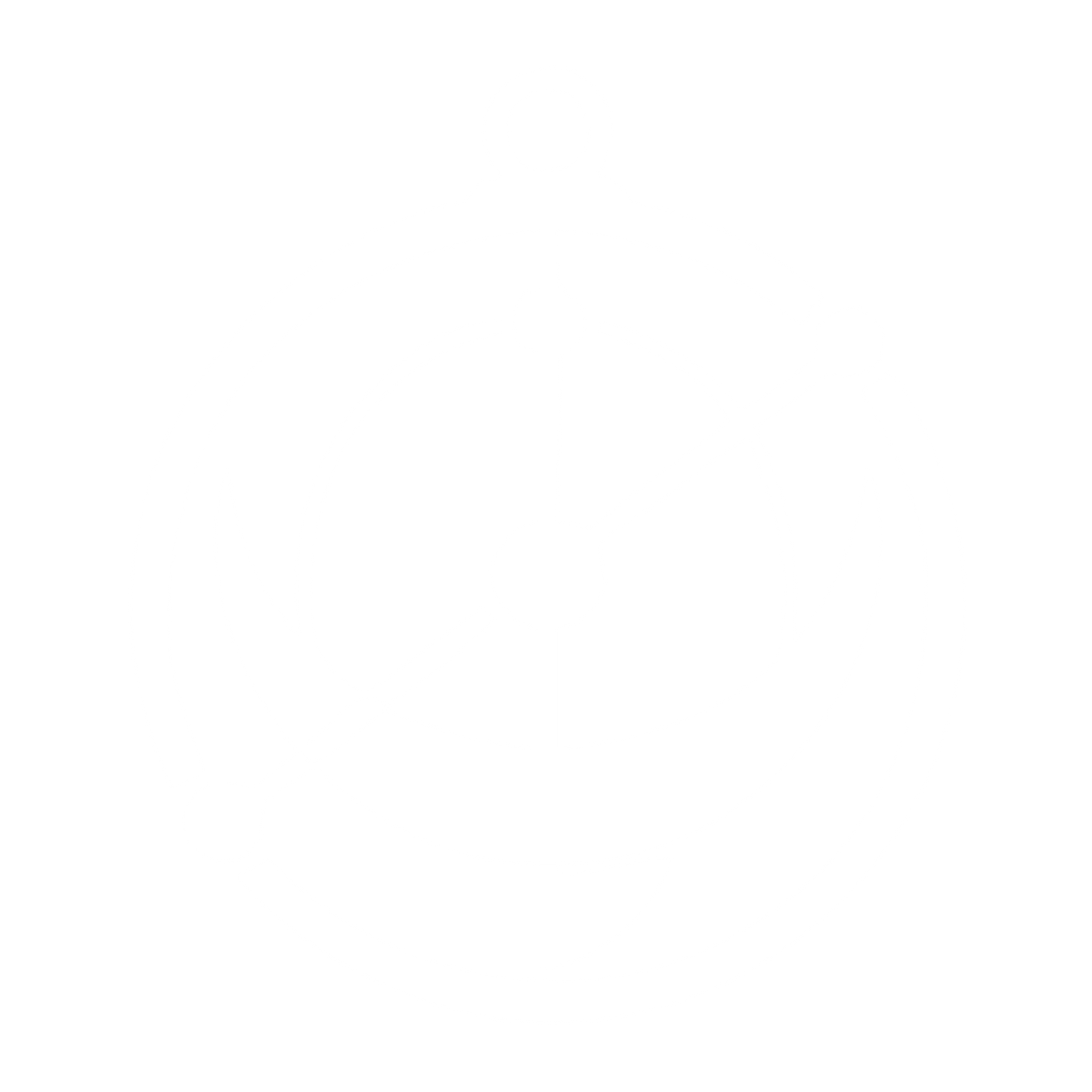Astrolabe Compass Circle Logo #ffffff