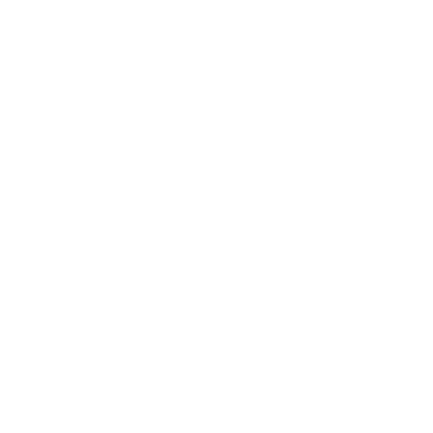 Astrolabe Compass Navigation Logo #ffffff