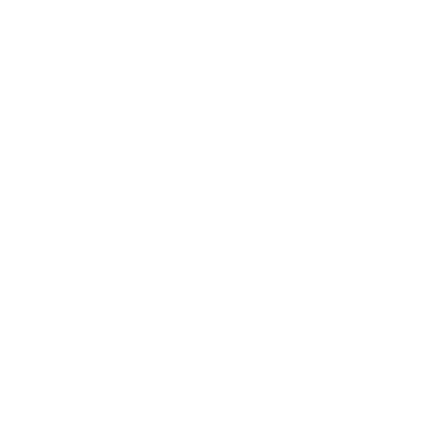 Bold Octopus Logo #ffffff