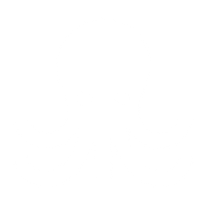 Bold Octopus Logo #ffffff