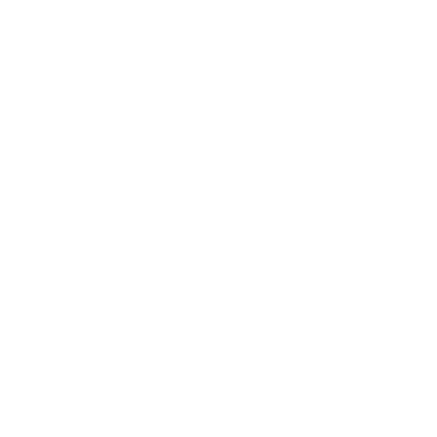 Bold Octopus Logo #ffffff