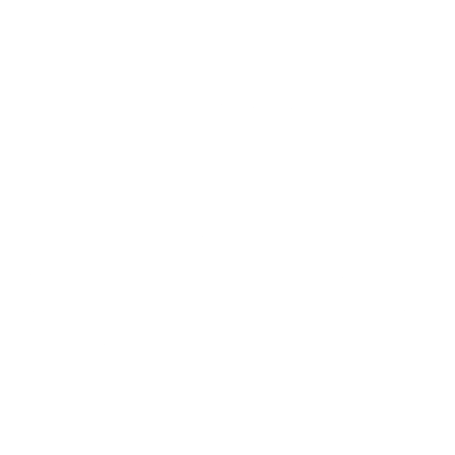 Dolphin Circle Logo #ffffff