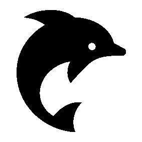 Dolphin Leap Bold Logo