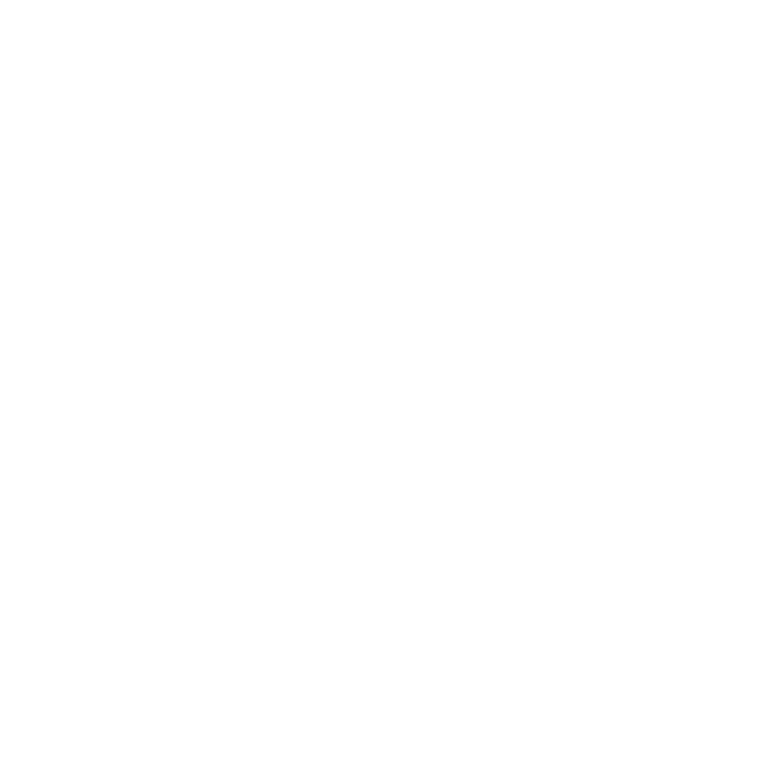 Bold Dolphin Wave Logo #ffffff