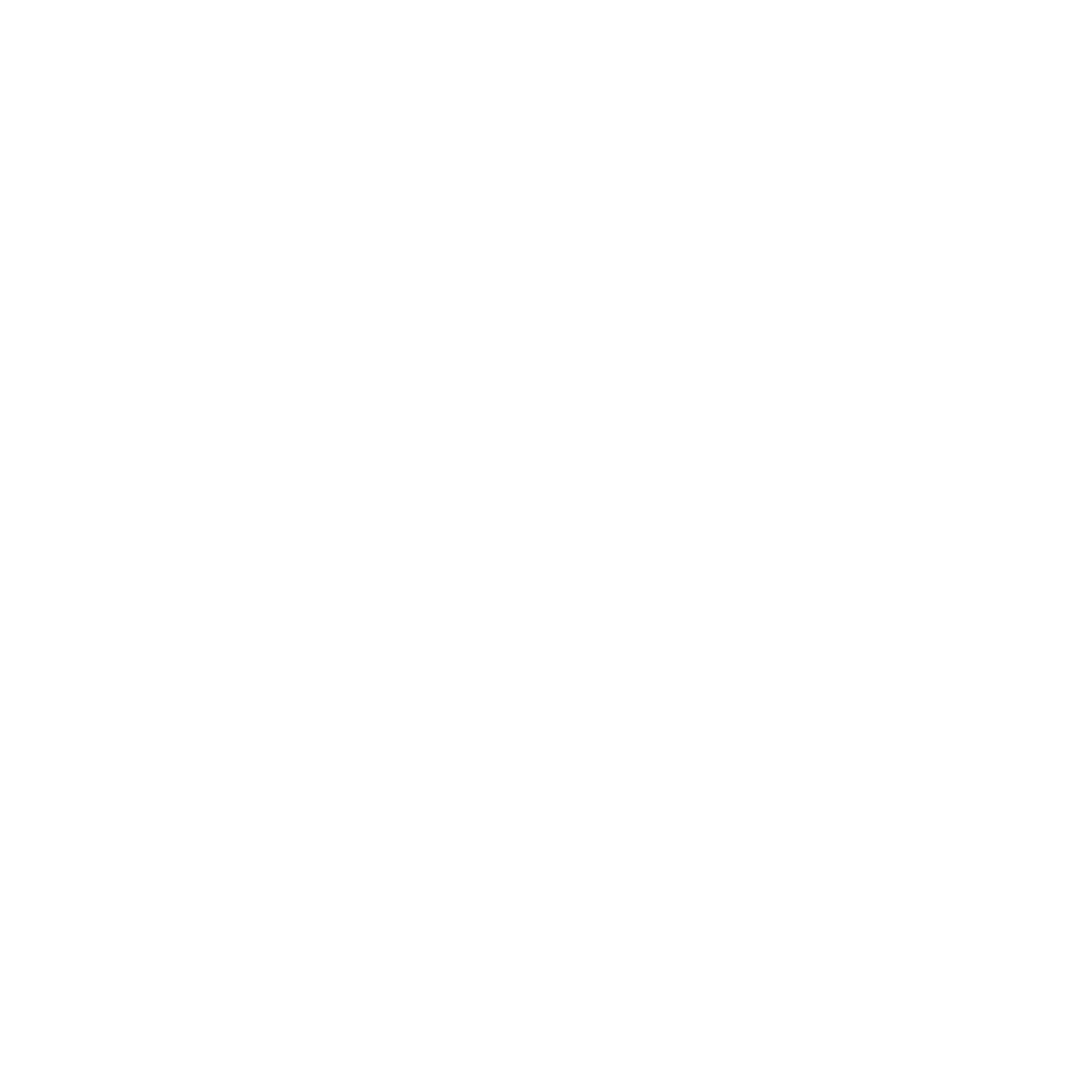 Bold Geometric Dolphin Logo #ffffff