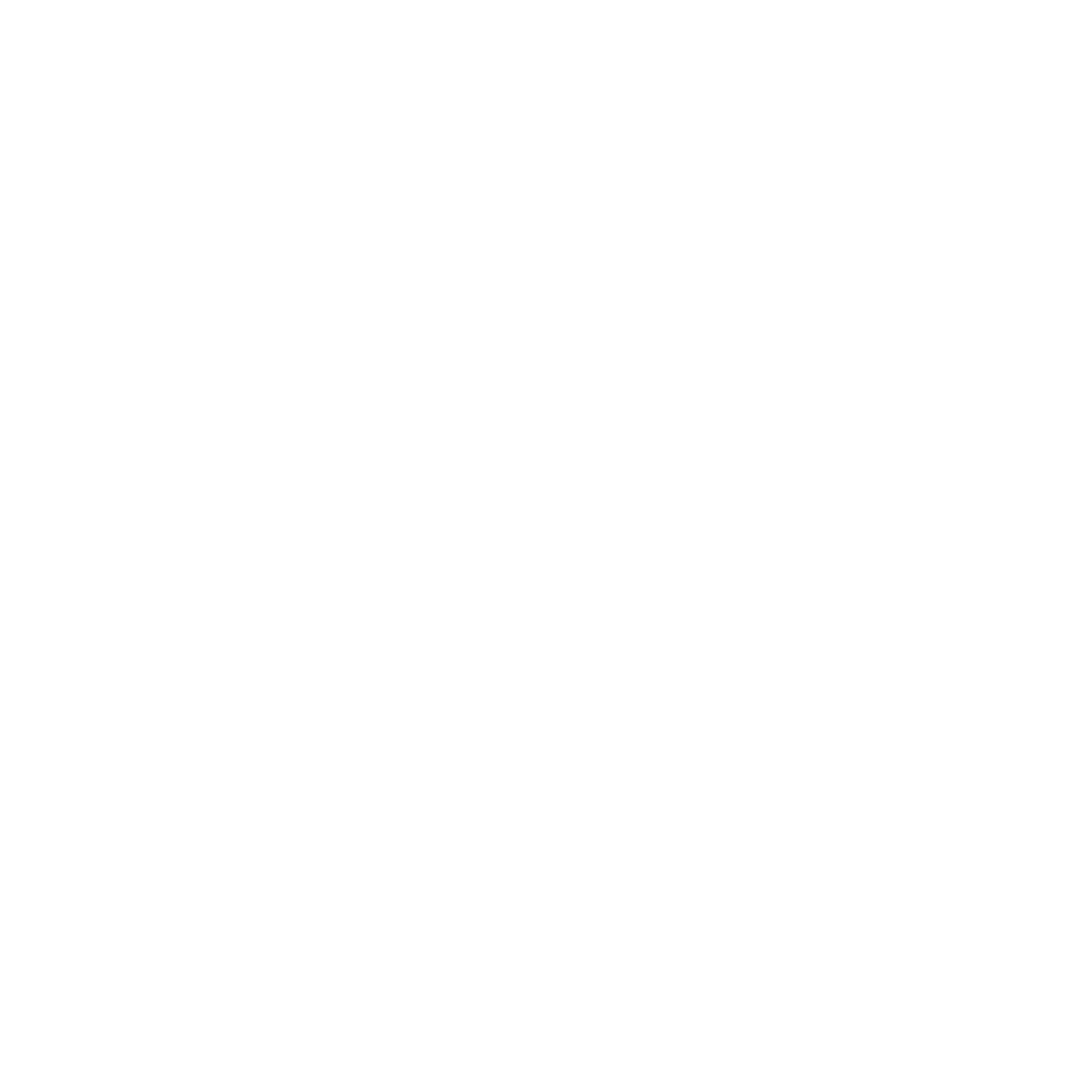Bold Geometric Dolphin Logo #ffffff