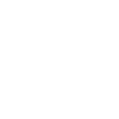 Bold Geometric Dolphin Logo #ffffff
