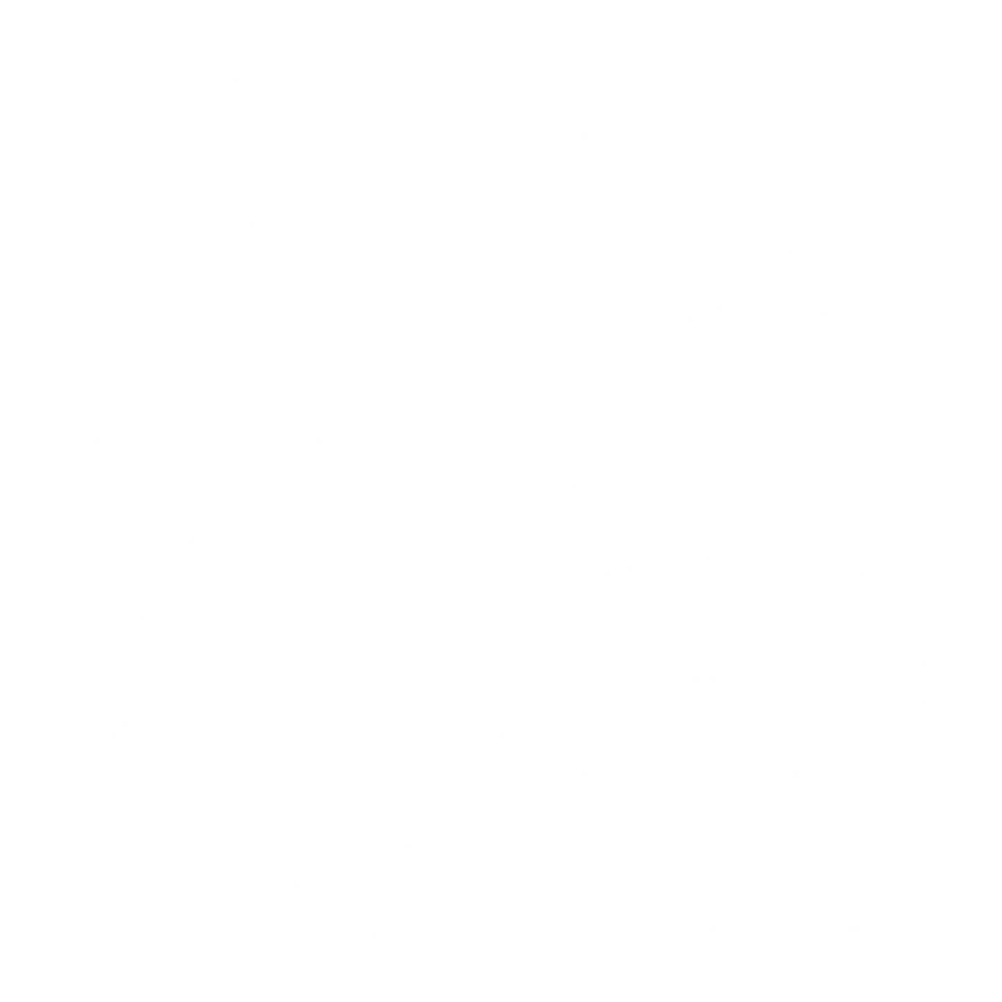 Bold Dolphin Wave Logo #ffffff