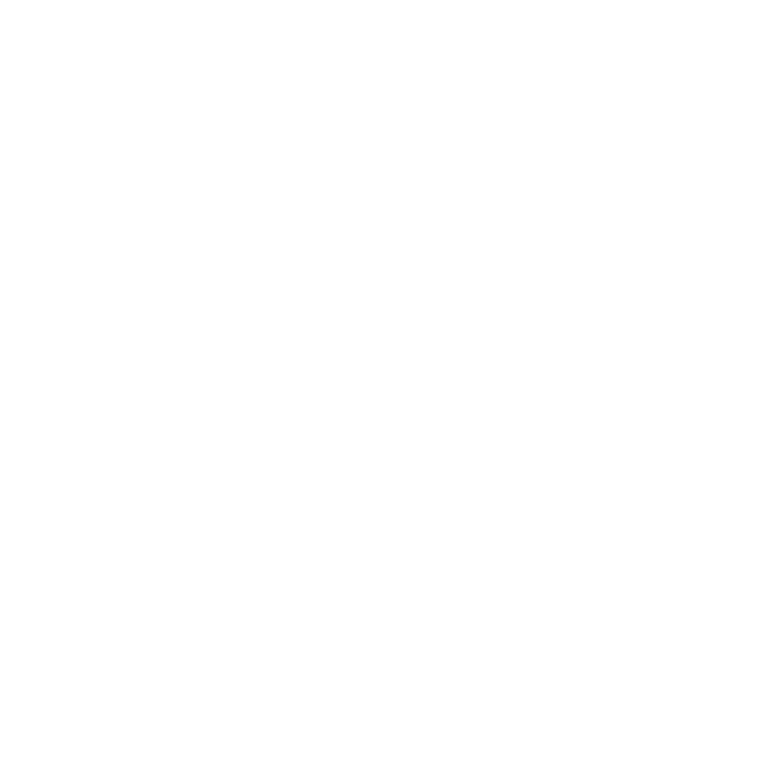 Bold Dolphin Wave Logo #ffffff