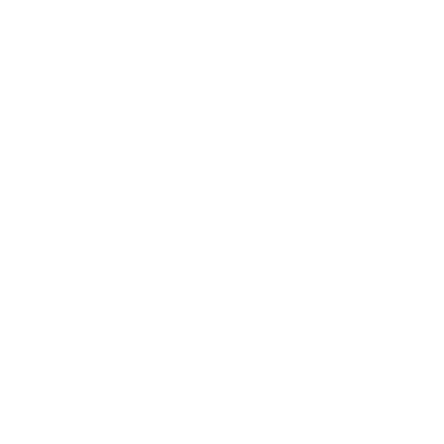 Bold Dolphin Circle Logo #ffffff