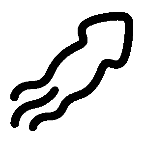 Monoline Squid Logo