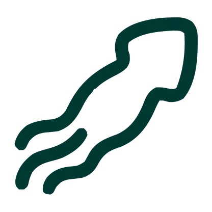 Monoline Squid Logo #003932