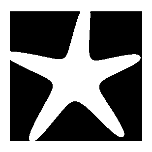 Negative Space Starfish Logo