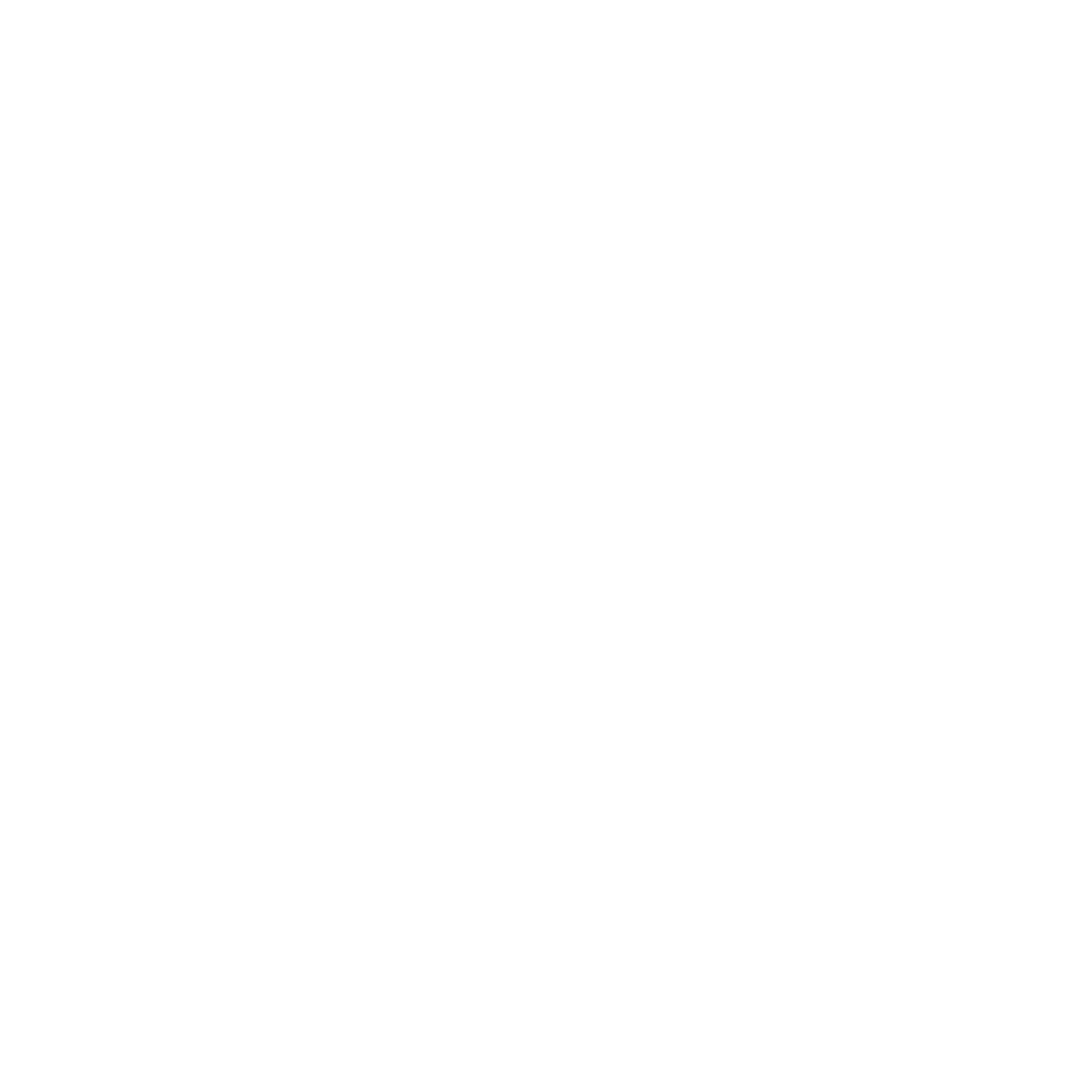 Castle with Flag Logo #ffffff