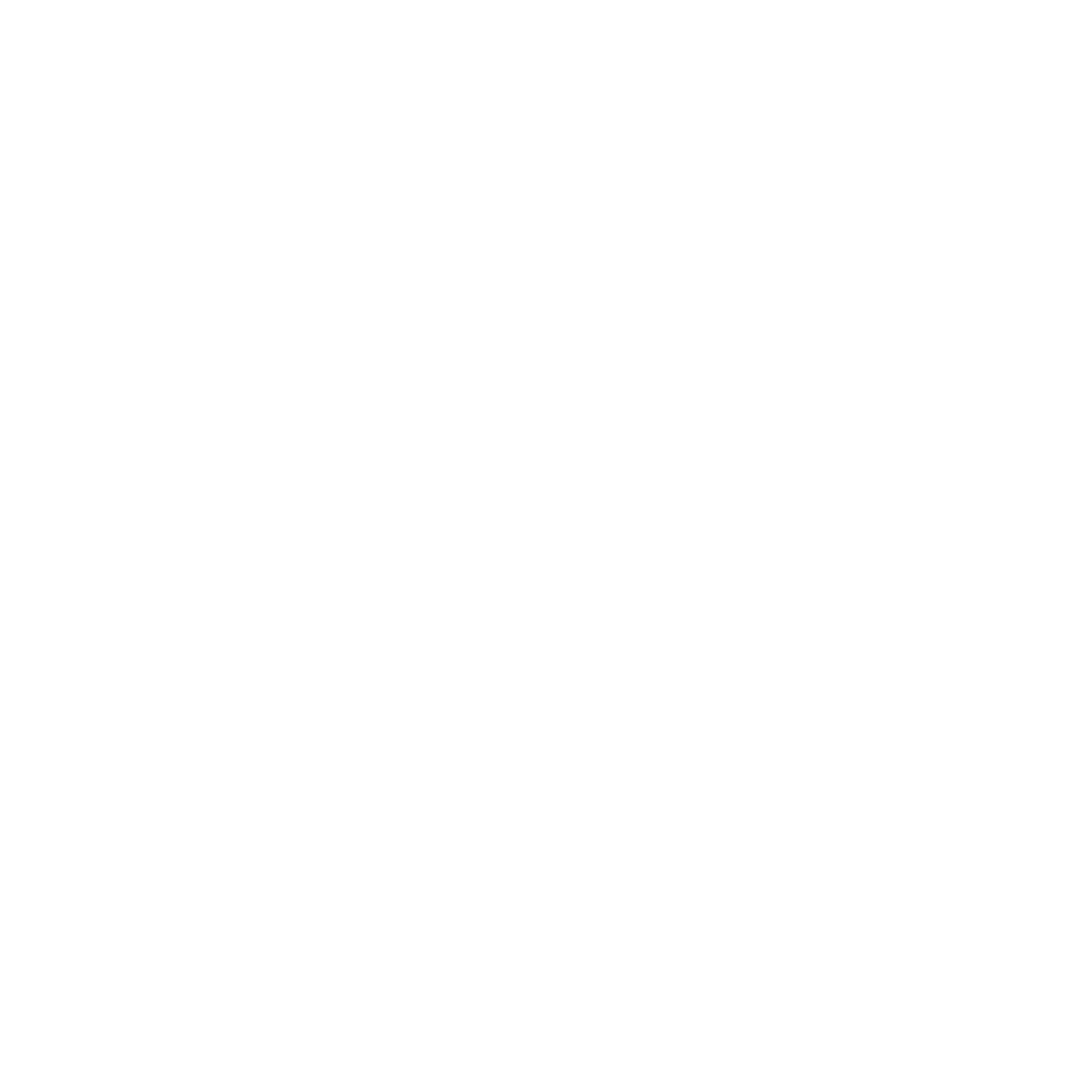 Pixel Barn Logo #ffffff