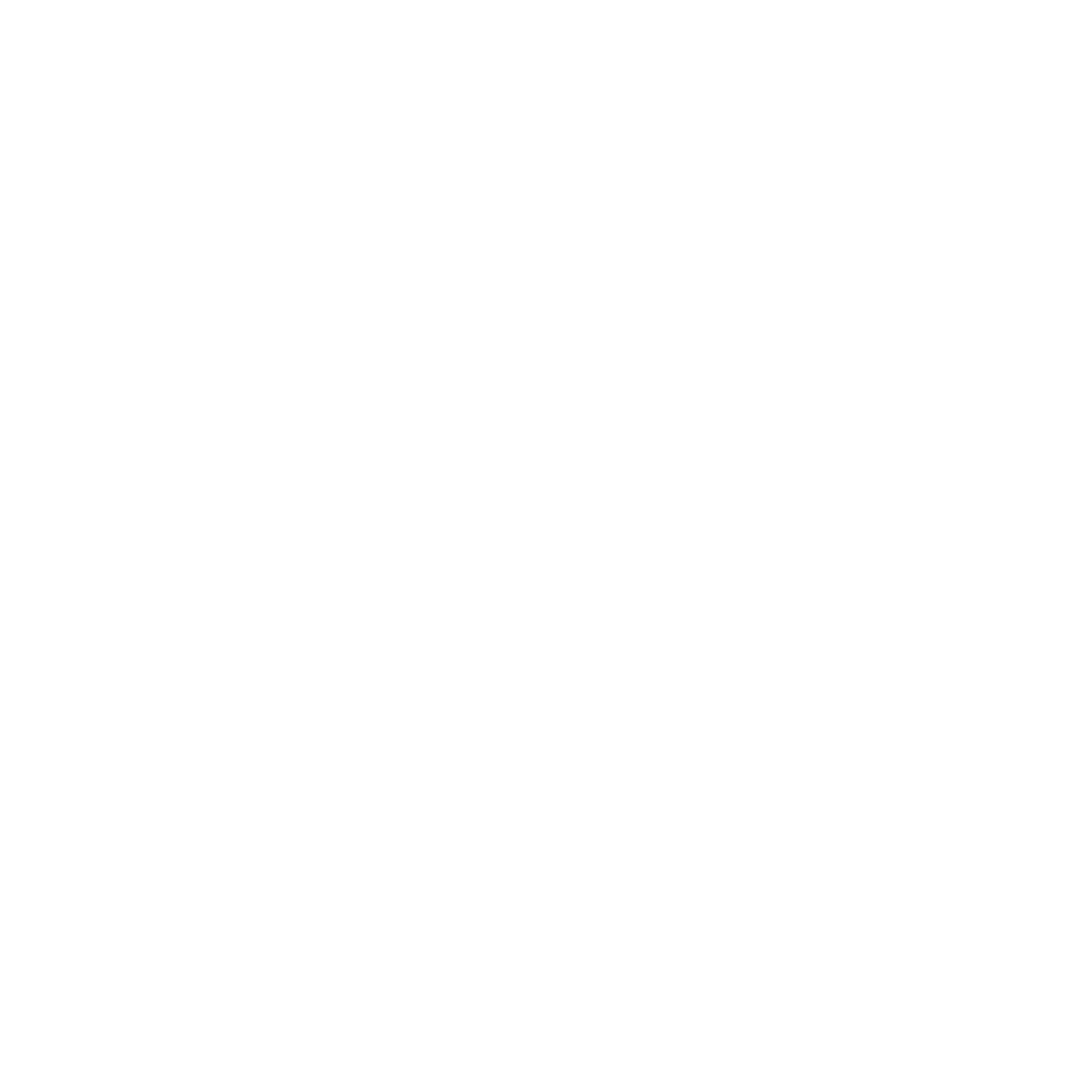 Suspension Bridge Logo #ffffff