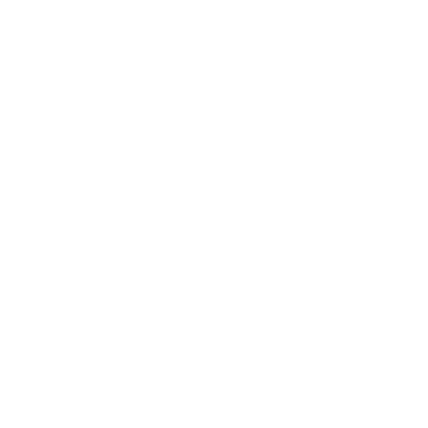 Suspension Bridge Logo #ffffff