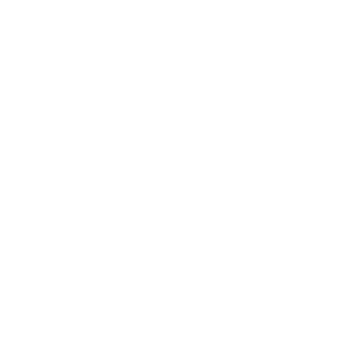 Suspension Bridge Logo #ffffff