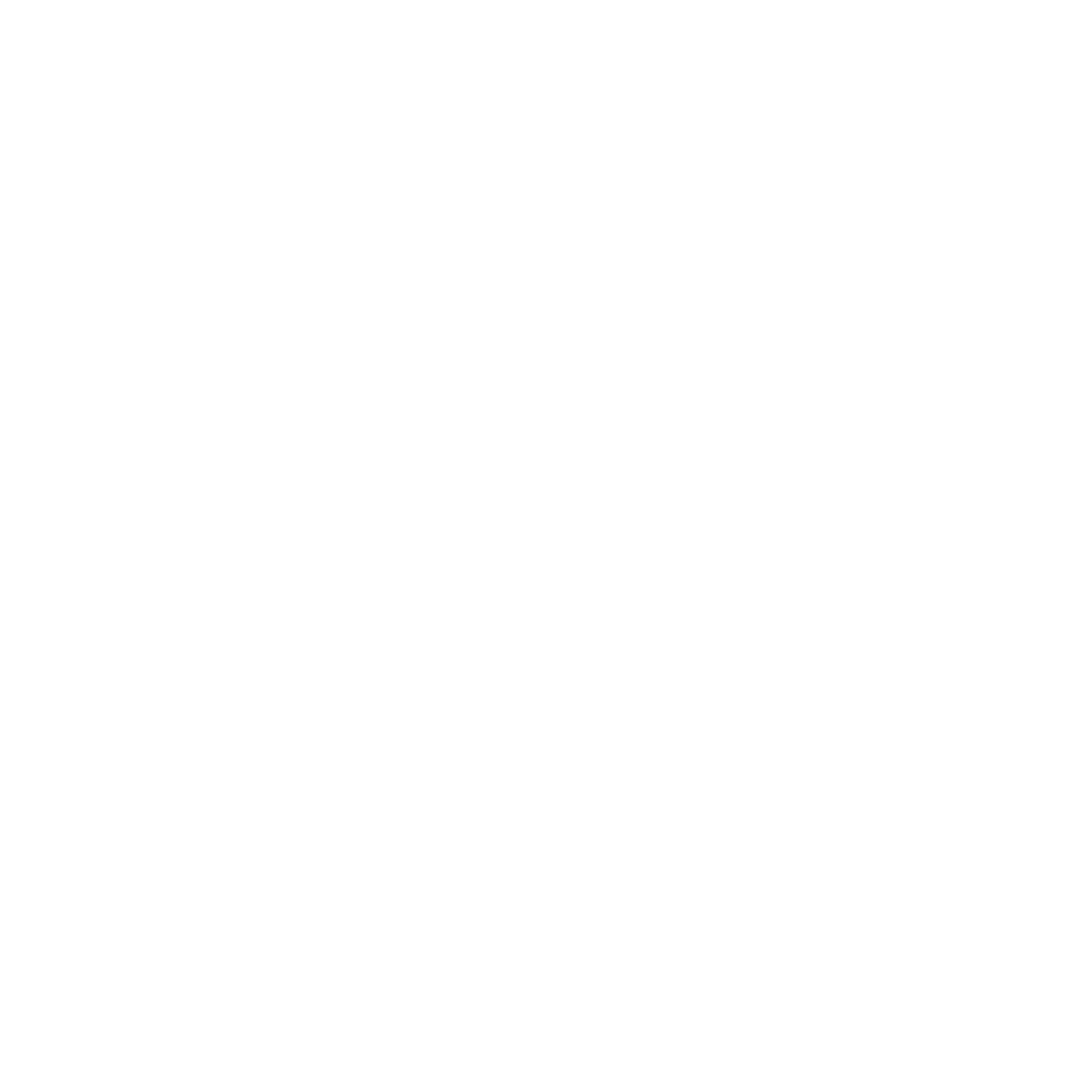 Suspension Bridge Logo #ffffff