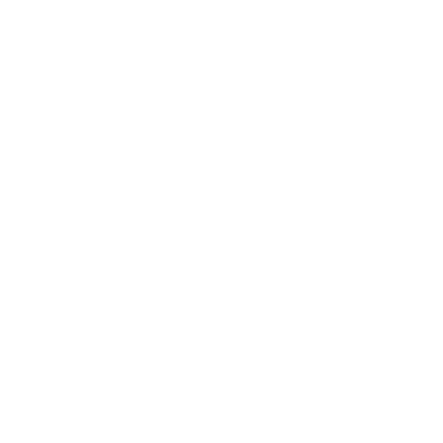 Pixel Compass Ornament Logo #ffffff
