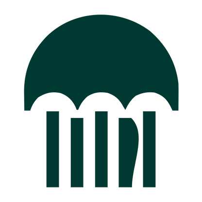 Jellyfish Swiss Style Logo #003932