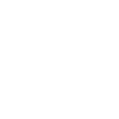 Comet Streak Logo #ffffff