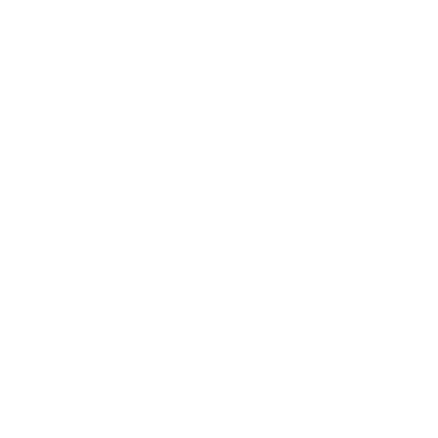 Compass Needle Comet Logo #ffffff