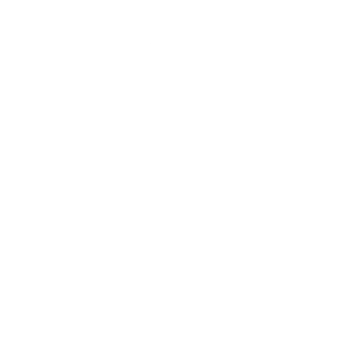 Police Badge Star Logo #ffffff