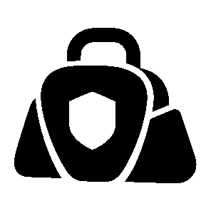 Doctor Bag Shield Logo