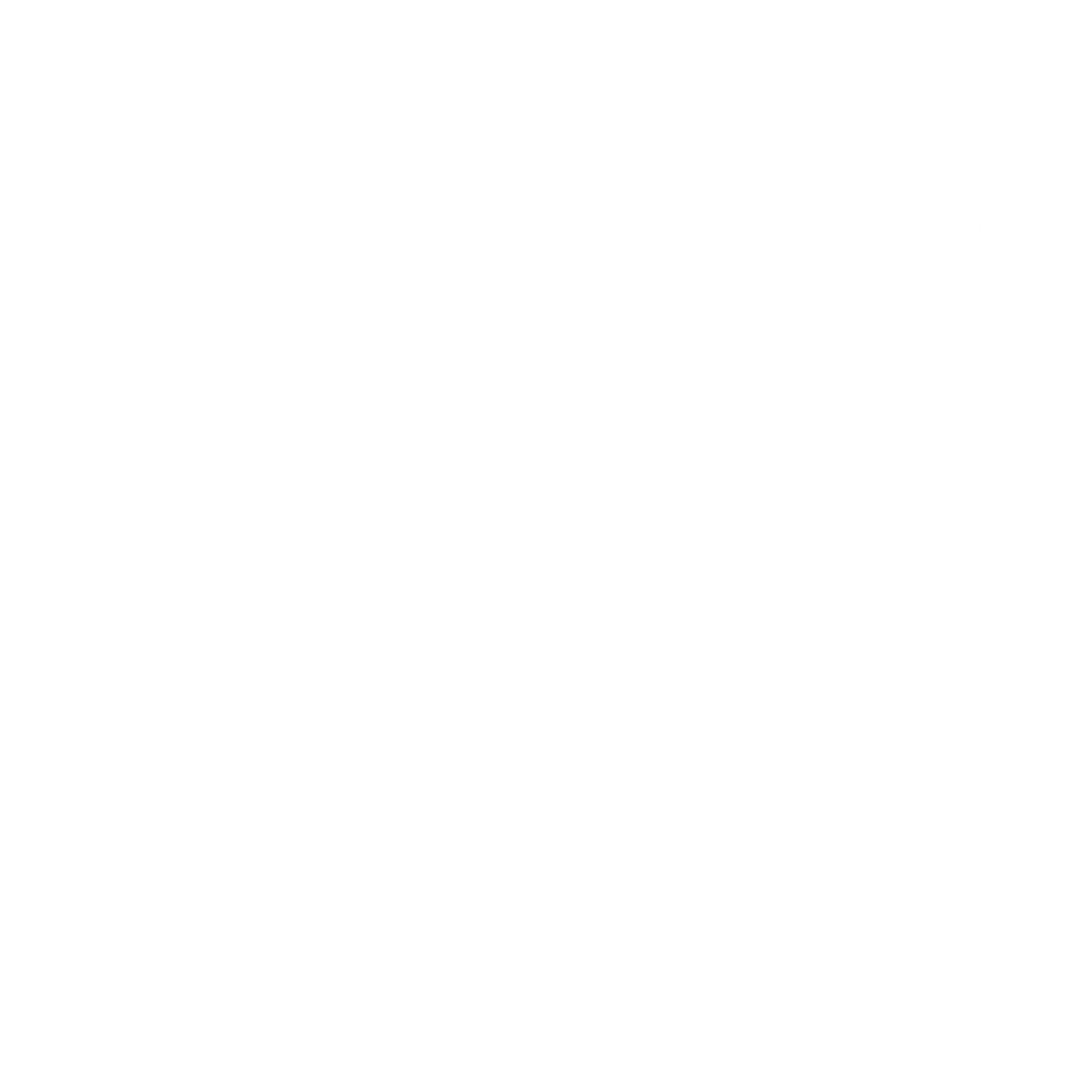 Angular Pig Logo #ffffff