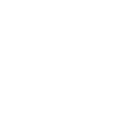Angular Pig Logo #ffffff