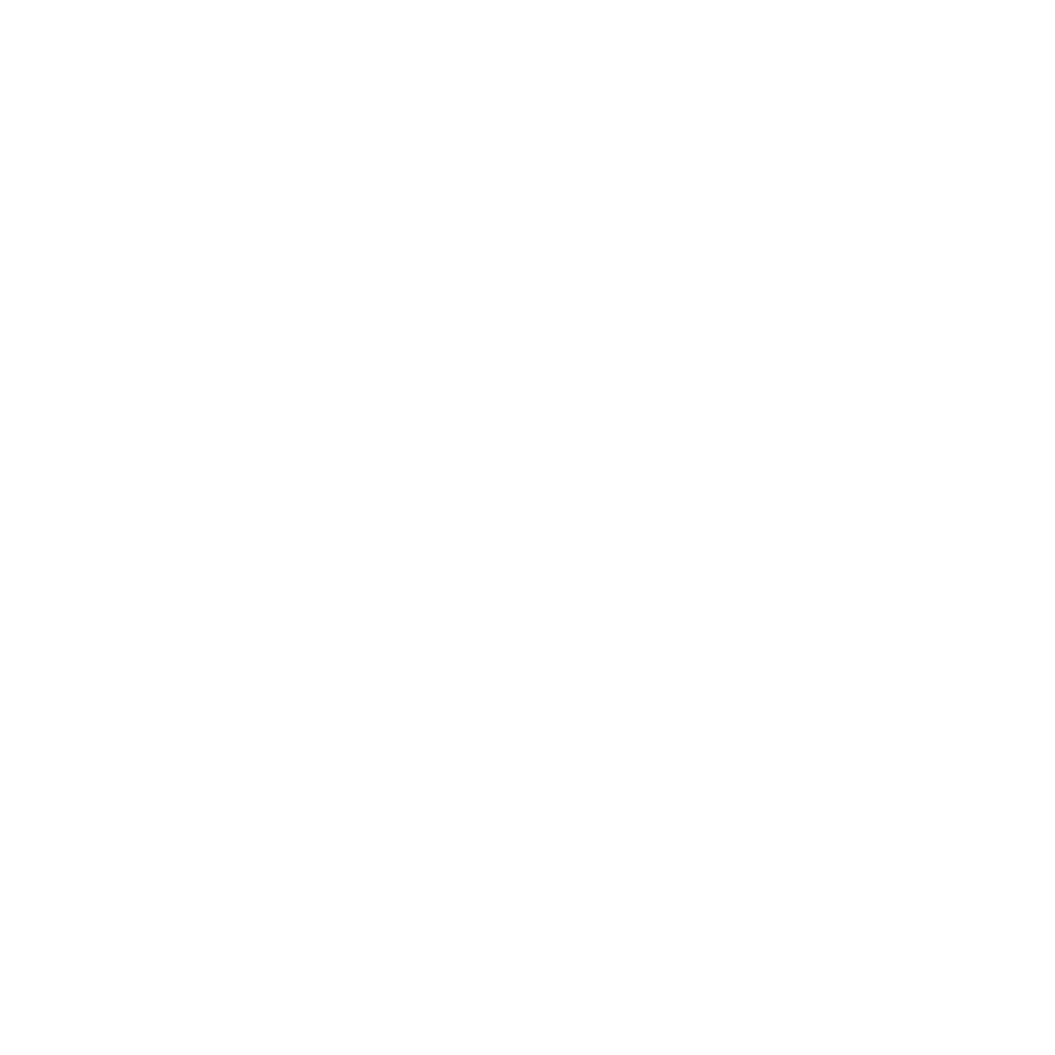 Squirrel Hexagon Negative Space Logo #ffffff