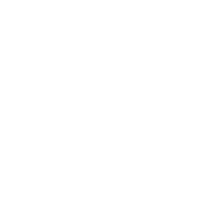 Squirrel Hexagon Negative Space Logo #ffffff