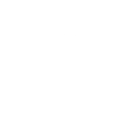 Bold Geometric Crow Logo #ffffff