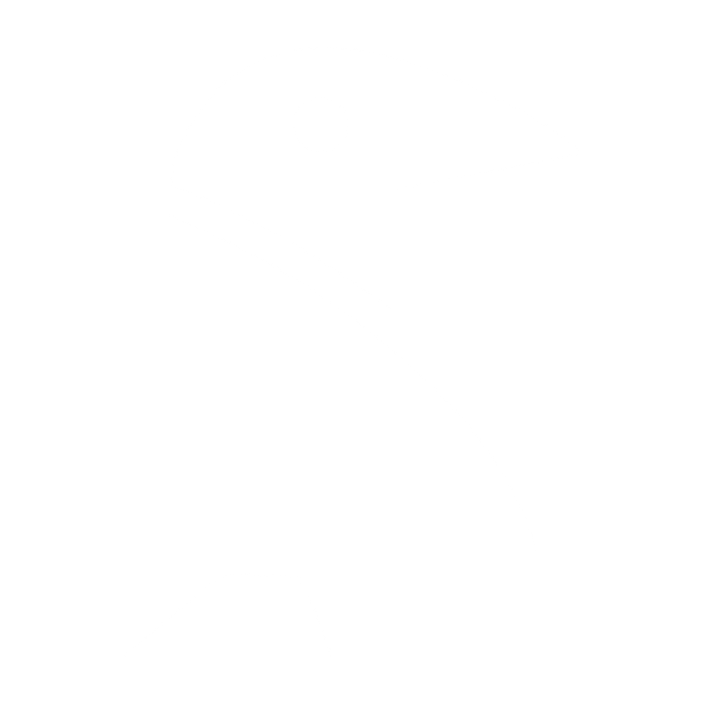 Bold Geometric Crow Logo #ffffff